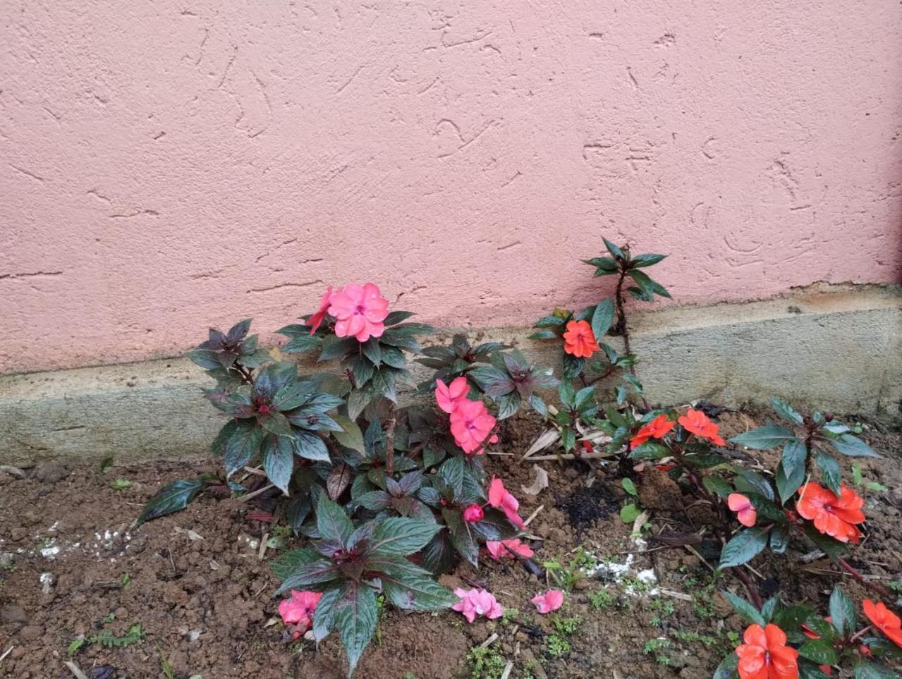 Pousada Morretes Arraial Exterior photo